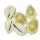 Cowrie Shell Beads - for Jewellery Making