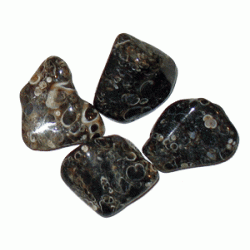 Turitella Agate tumblestones 20-27mm