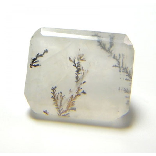 Dendritic Quartz Gemstone