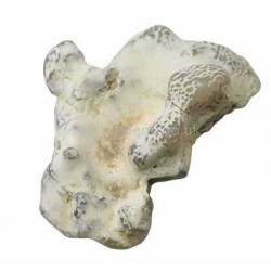 Snake Skin Agate Natural Piece