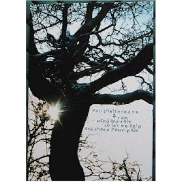 Greeting Card - Tree Shelter