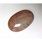 Fossil Coral Oval Cabochon Fossil Coral Oval Cabochon