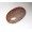 Fossil Coral Oval Cabochon