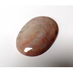 Fossil Coral Oval Cabochon Fossil Coral Oval Cabochon