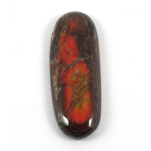 Orange and Red Oval Ammolite Cabochon