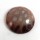 Fossil Coral Cabochon Round