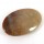 Fossil Coral Oval Cabochon 46mm