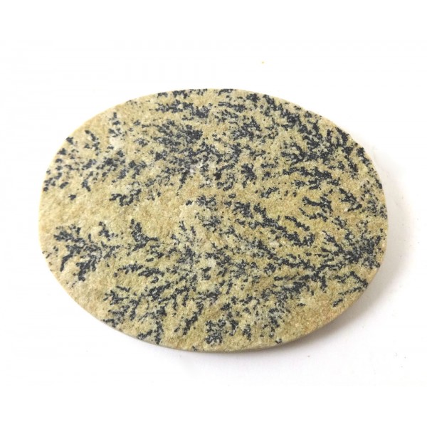 Dendritic Concretion Cabochon