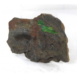 Natural Canadian Ammolite Fragment
