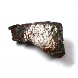 Natural Ammolite Fossil Fragment