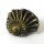 Ammonite Pyritised