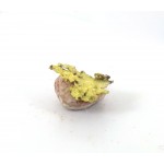 Small Gold Flake Nugget