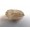 Pale Hiddenite Green Kunzite