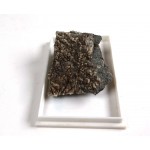 Anatase Brookite Albite Pseudomorph