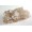 Druzy Quartz Formation