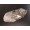 Co Joined Multiple Quartz Crystal Point Formation with Chlorite