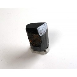 Natural Black Tourmaline Crystal