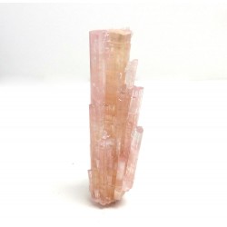 Pink Tourmaline Spray Crystal from Paprok