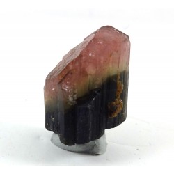 Pink and Black Tourmaline Crystal from Staknala