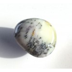 Natural Agate Polished Dendritic Shape