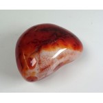 Polished Carnelian Freeform