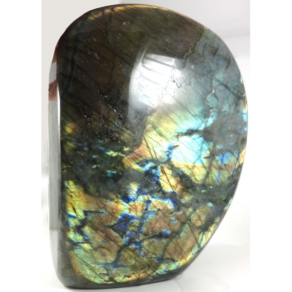 Polished All Over Labradorite Colourful Centrepiece