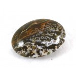 Ocean Jasper Polished Pebble