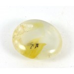 Dendritic Quartz Golden Healer Pebble