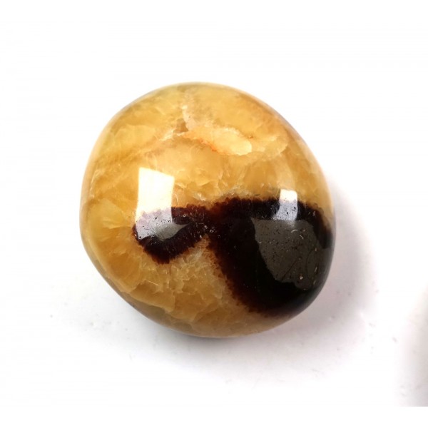 Septaria Polished Pebble