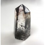Polished Tourmalinated Quartz Point