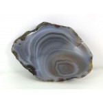 Cut Agate with Chatoyancy