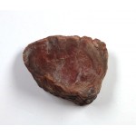 Petrified Wood Thick Polished Surface