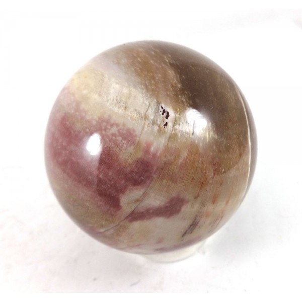 Patterned Petrified Wood Crystal Ball