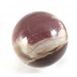 Patterned Petrified Wood Crystal Ball