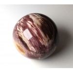 Petrified Wood Crystal Ball