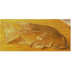 Large Quartz Fish - Crystal Animal