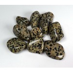 Dalmatian Jasper tumblestones 25-30mm